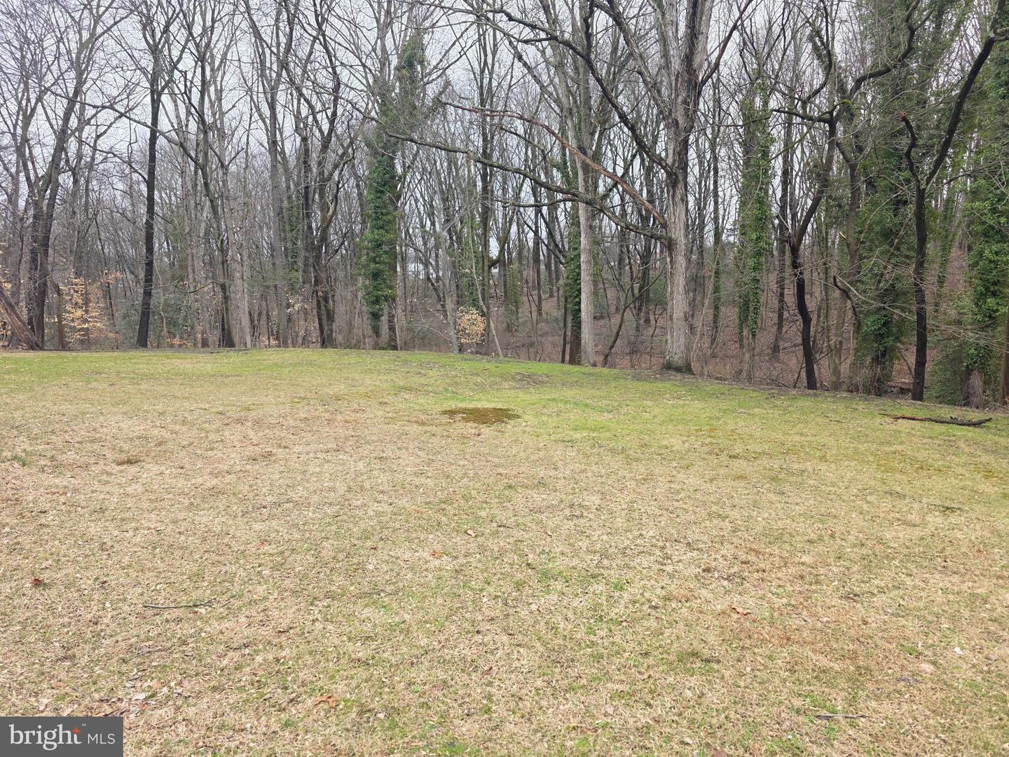 3016 County House Rd Property Photo 5
