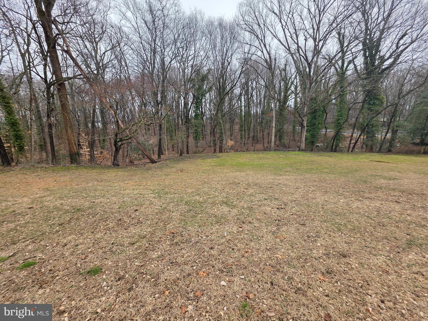 3016 County House Rd Property Photo 6