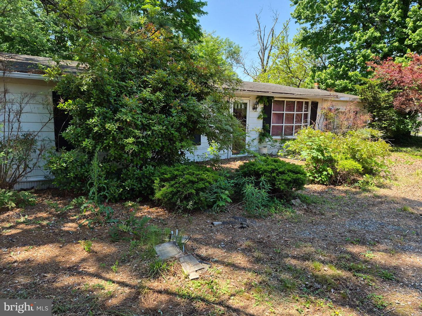 4209 S Black Horse Pike Property Photo 6