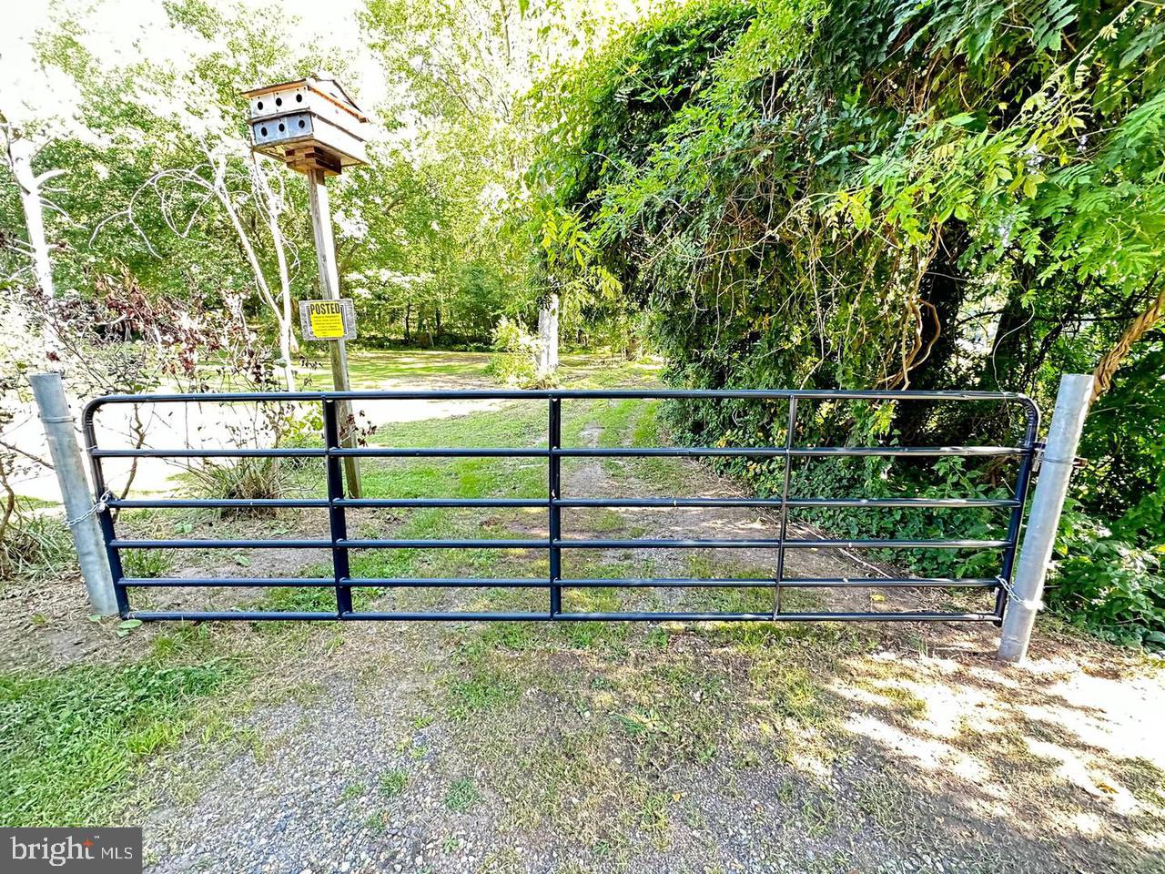 337 Ewan Rd Property Photo 3