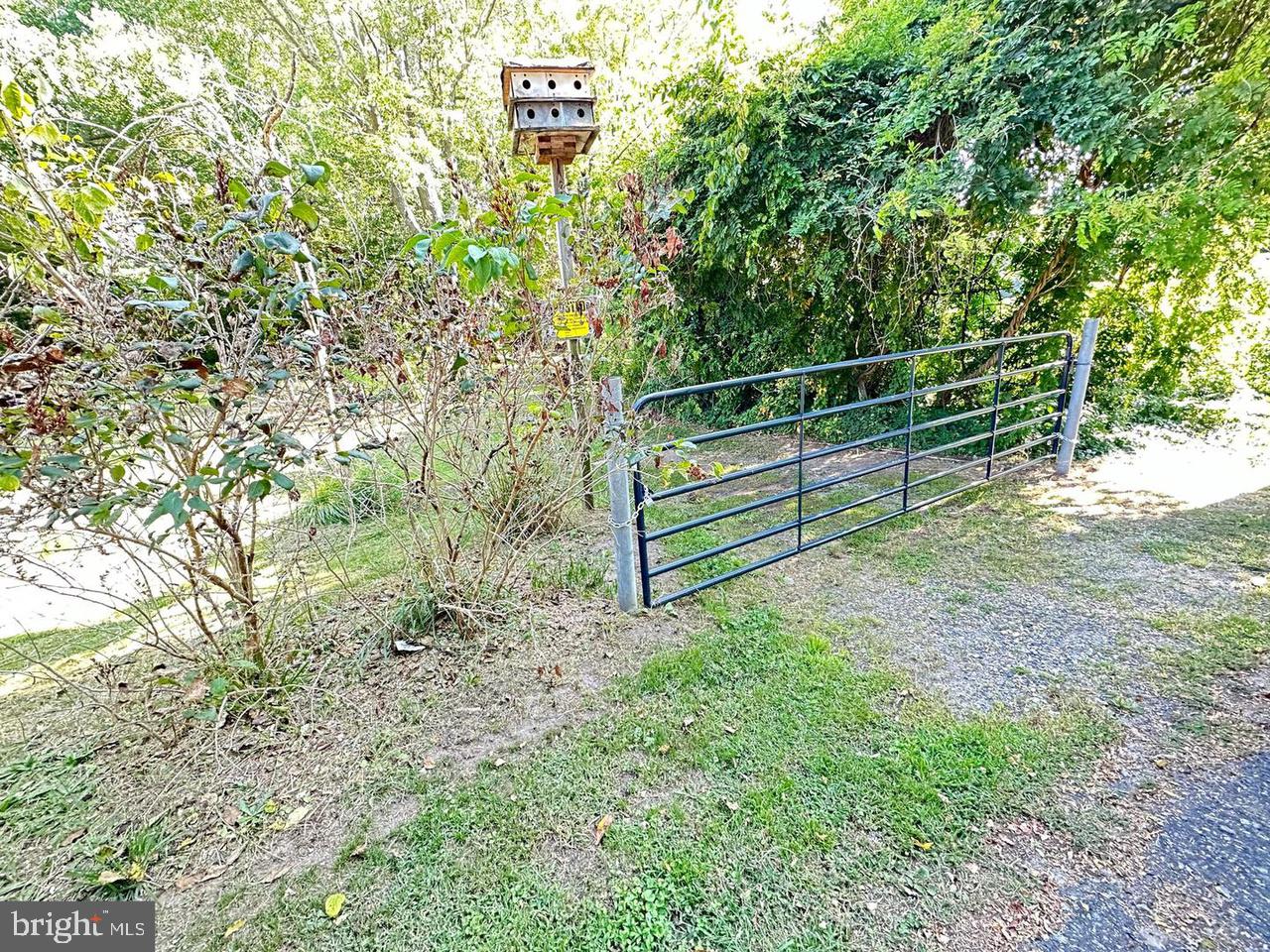 337 Ewan Rd Property Photo 5