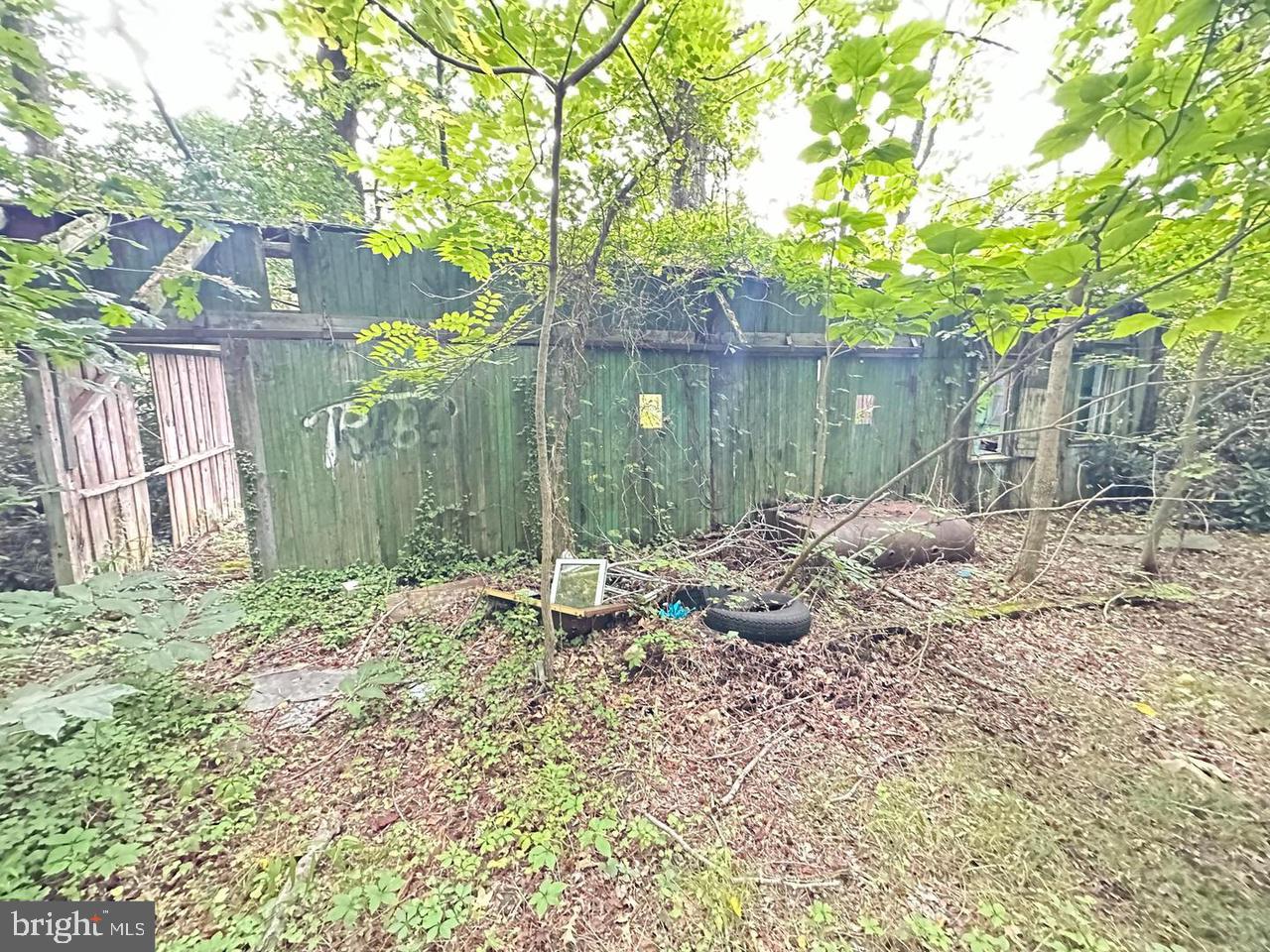 337 Ewan Rd Property Photo 14