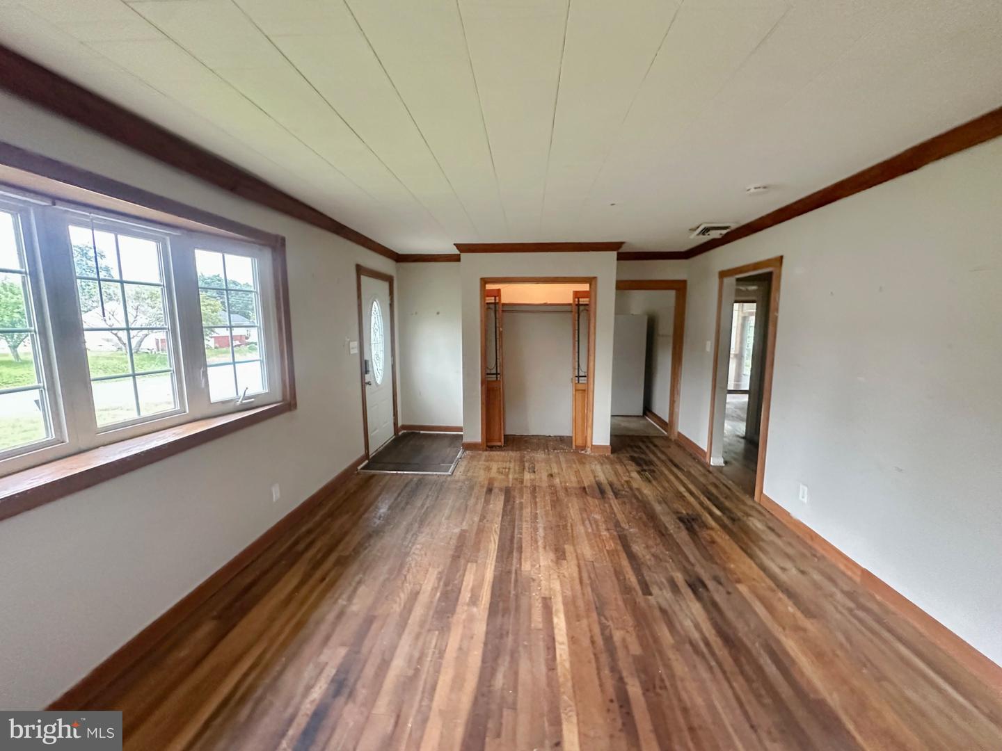 31 Trilby Ave Property Photo 6