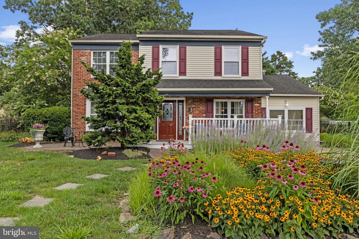 64 LUPUS LN