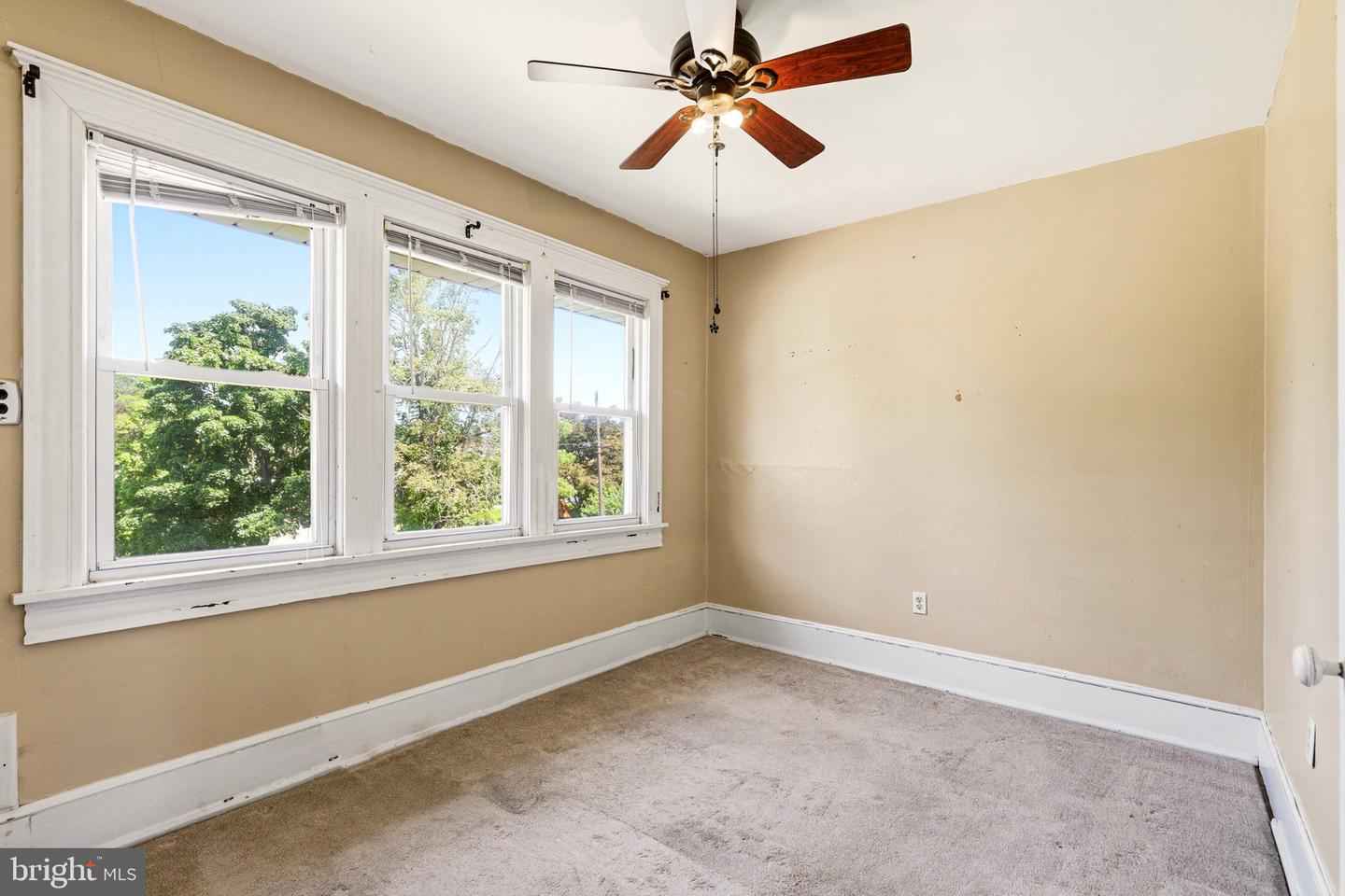 16 Pearl St Property Photo 35