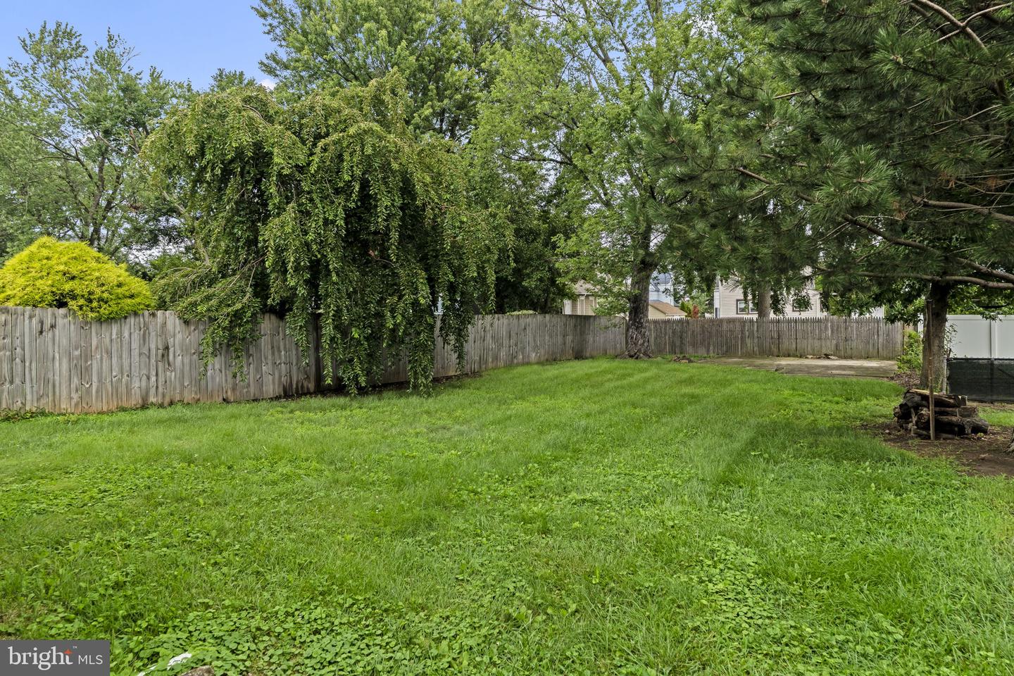 213 Chestnut St Property Photo 17