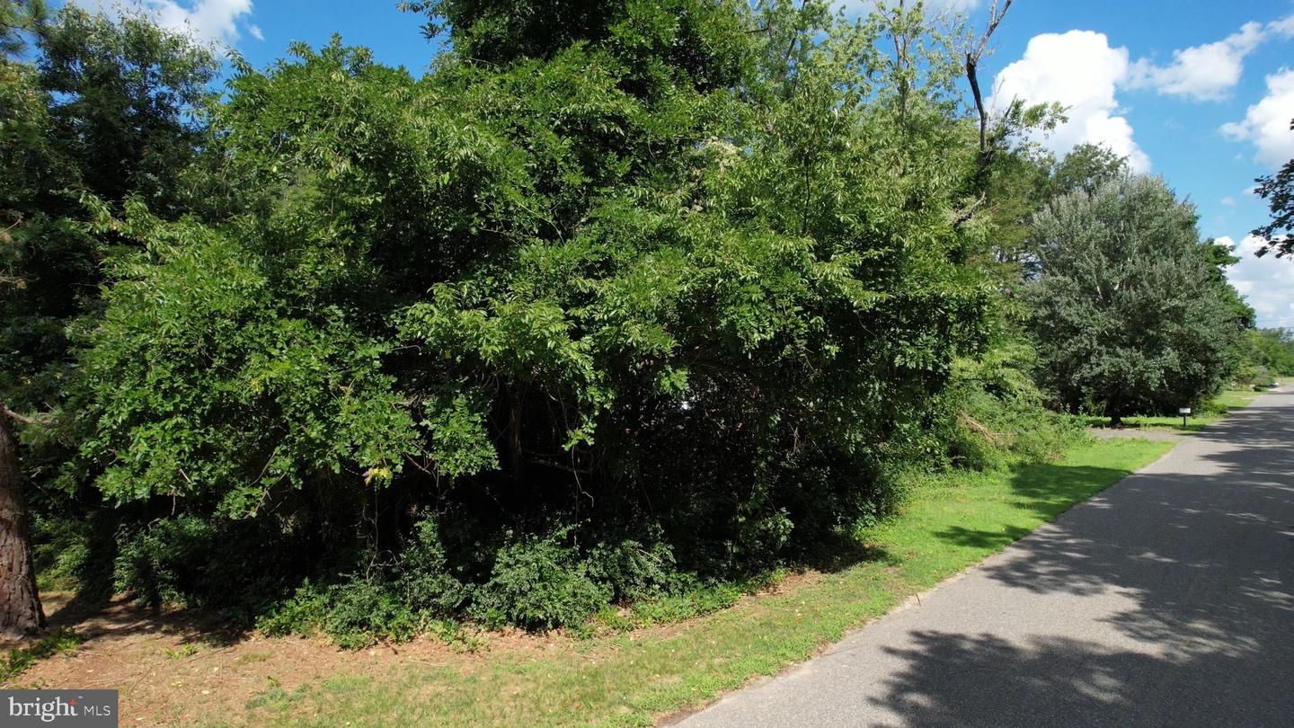 0 Broad Property Photo 24