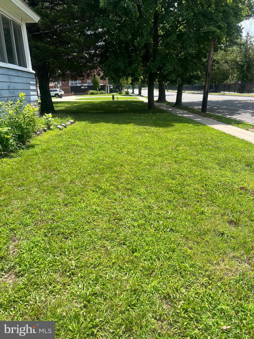 20 Normal Blvd Property Photo 16