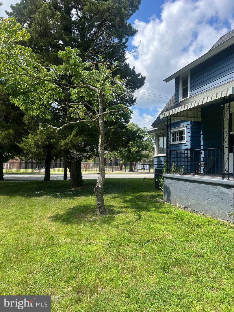 20 Normal Blvd Property Photo 17