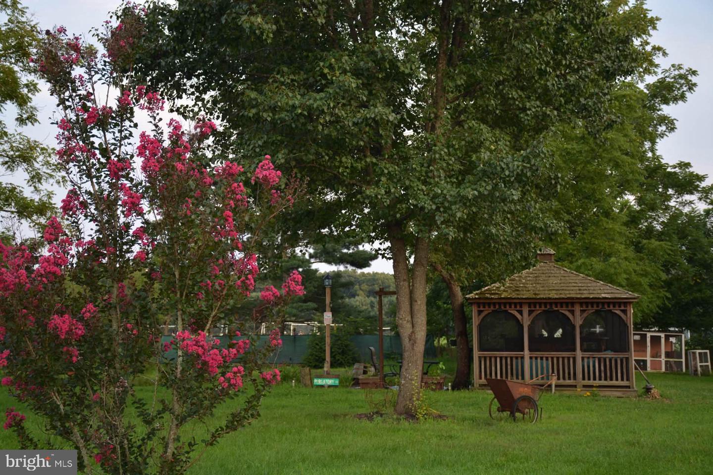 838 Dutch Mill Rd Property Photo 10