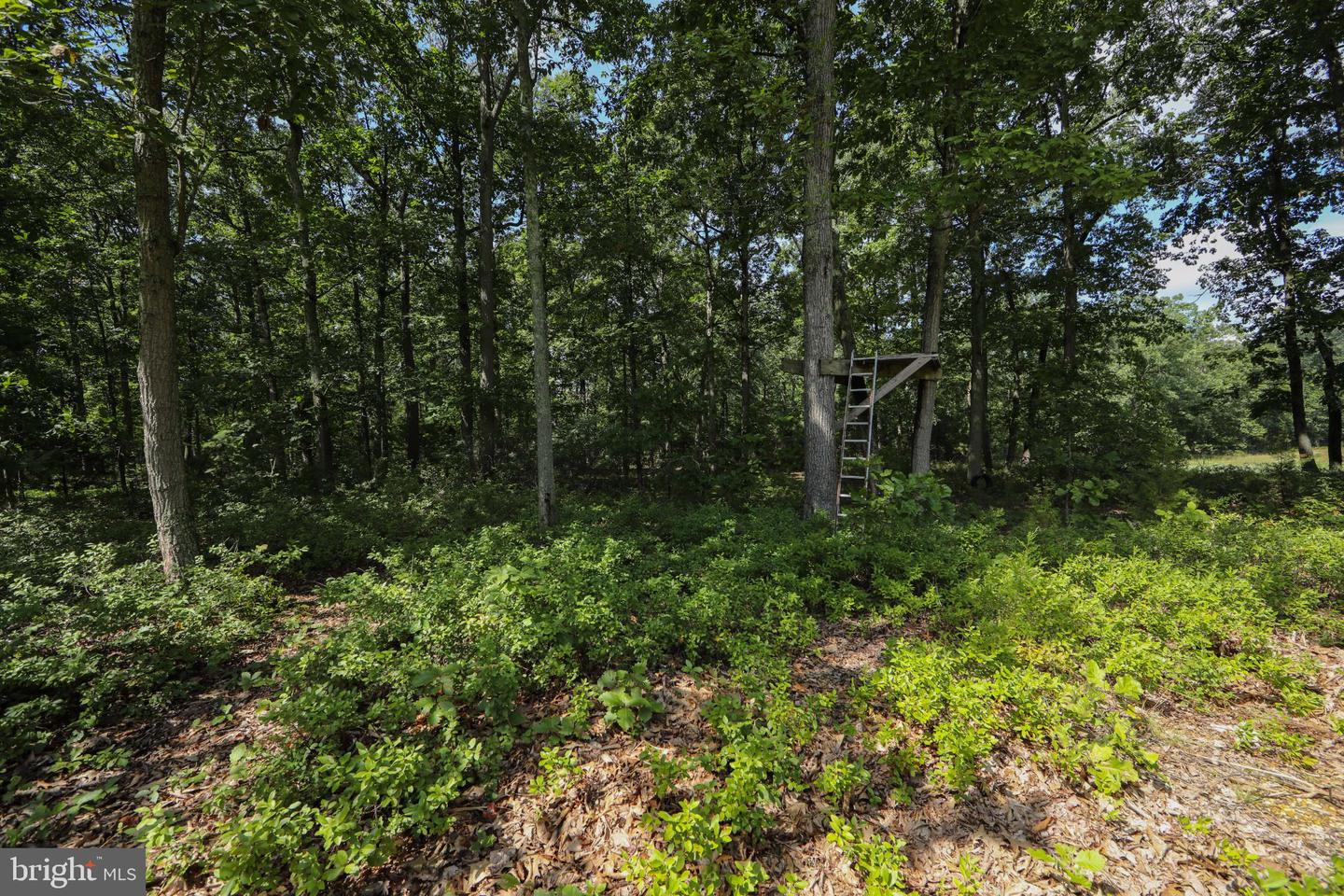 671 Lantern Way Property Photo 37