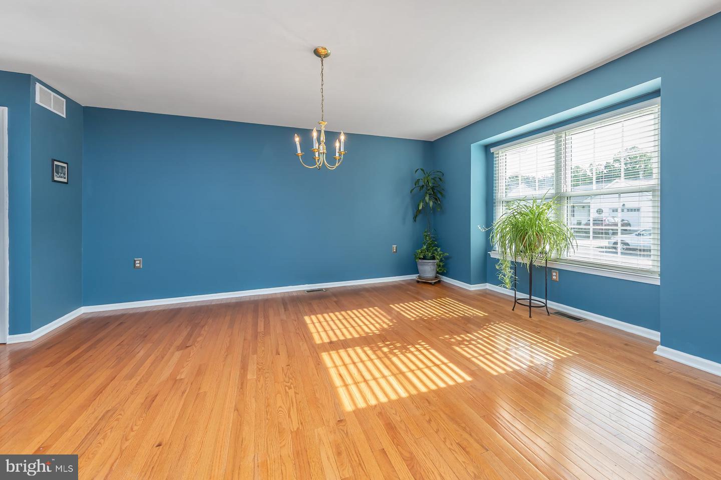 317 Chickory Trl Property Photo 4