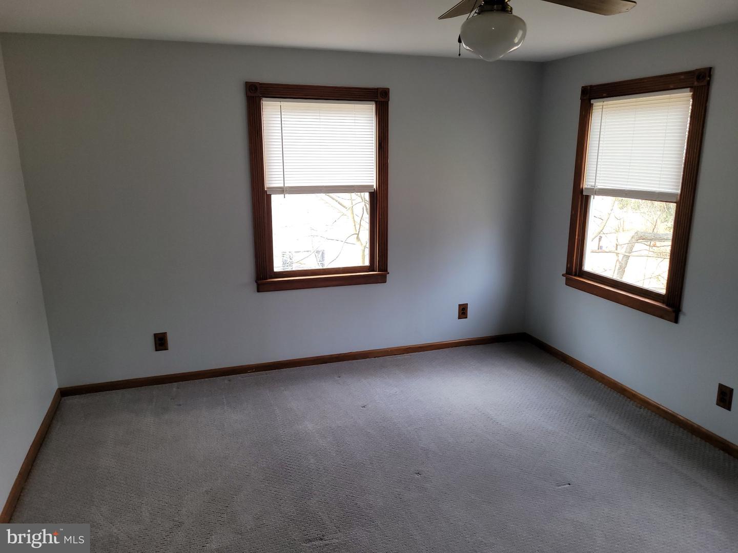 10 Spicer St Property Photo 9