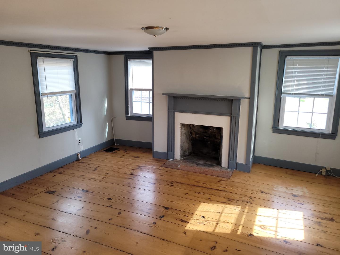 10 Spicer St Property Photo 11