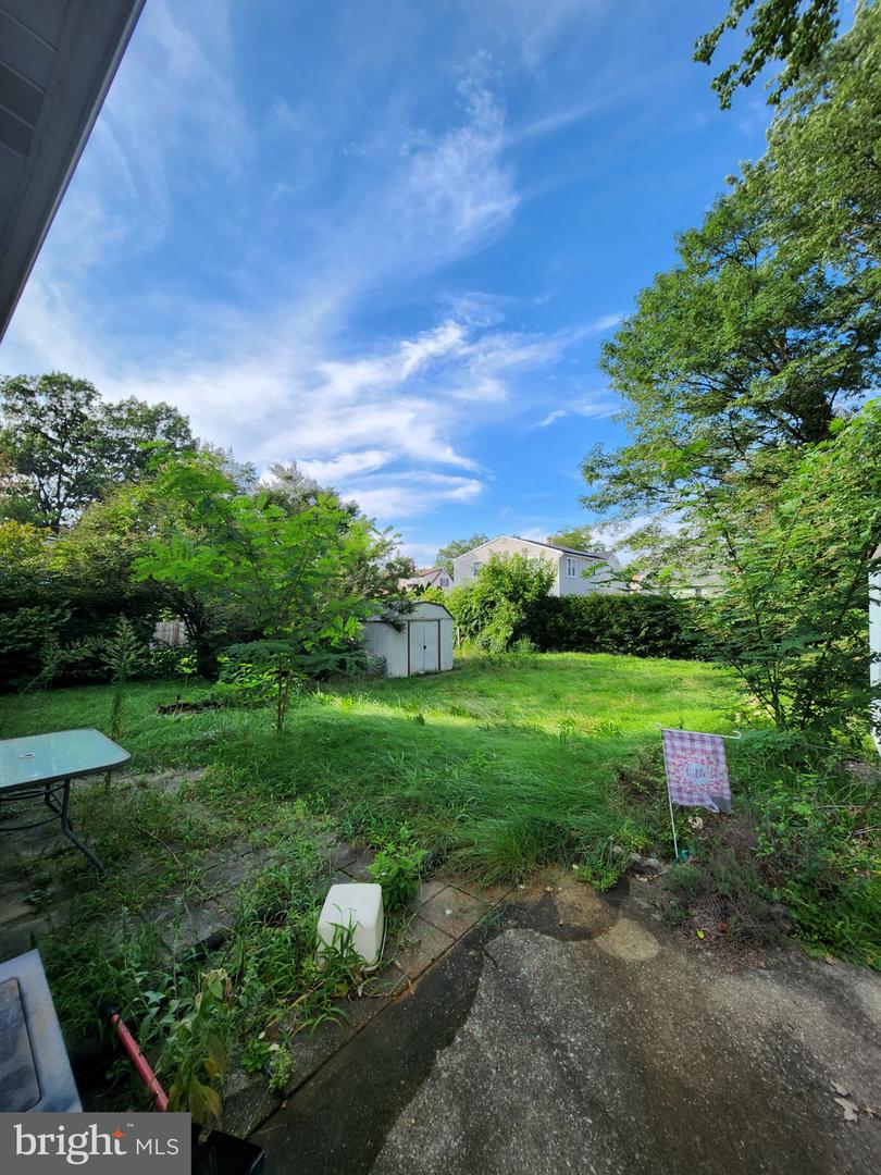 338 Driscoll Property Photo 12