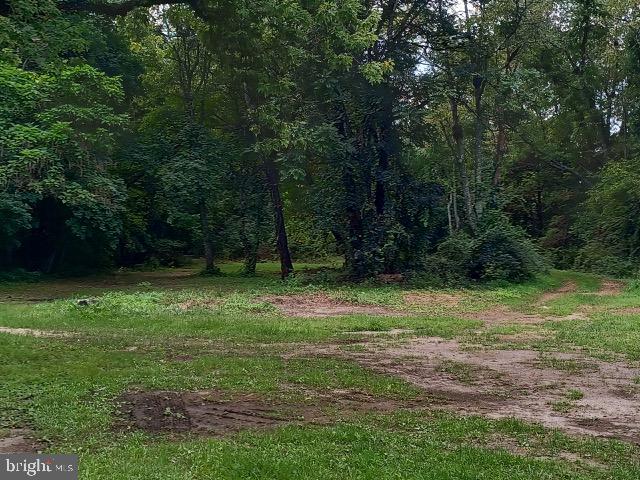 525 Radix Rd Property Photo 13