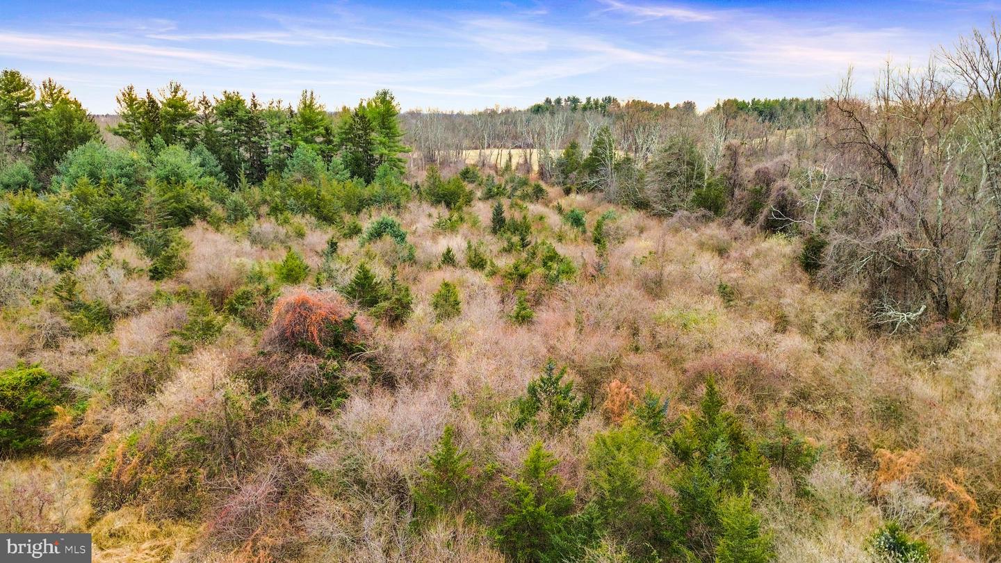 11 Springtown Property Photo 4
