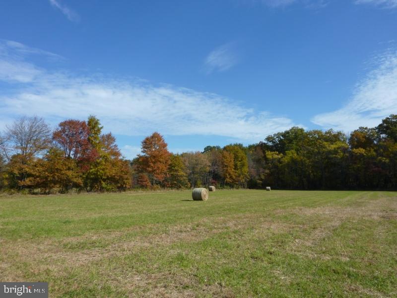 Lot# 2 Barbertown Point Breeze Rd Property Photo 15