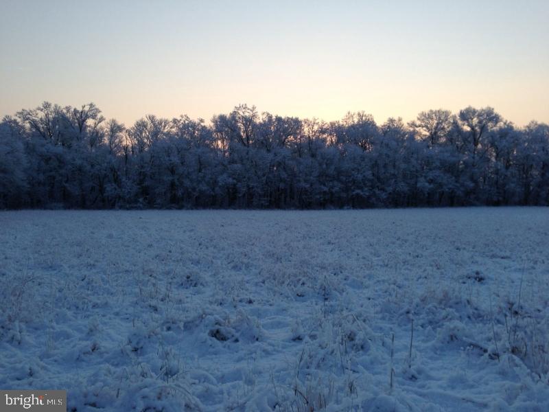 Lot# 2 Barbertown Point Breeze Rd Property Photo 17