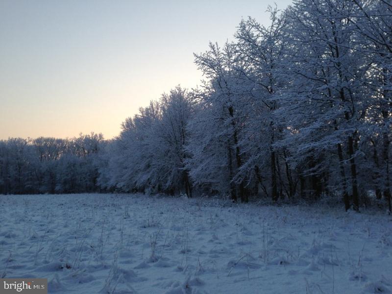 Lot# 2 Barbertown Point Breeze Rd Property Photo 18