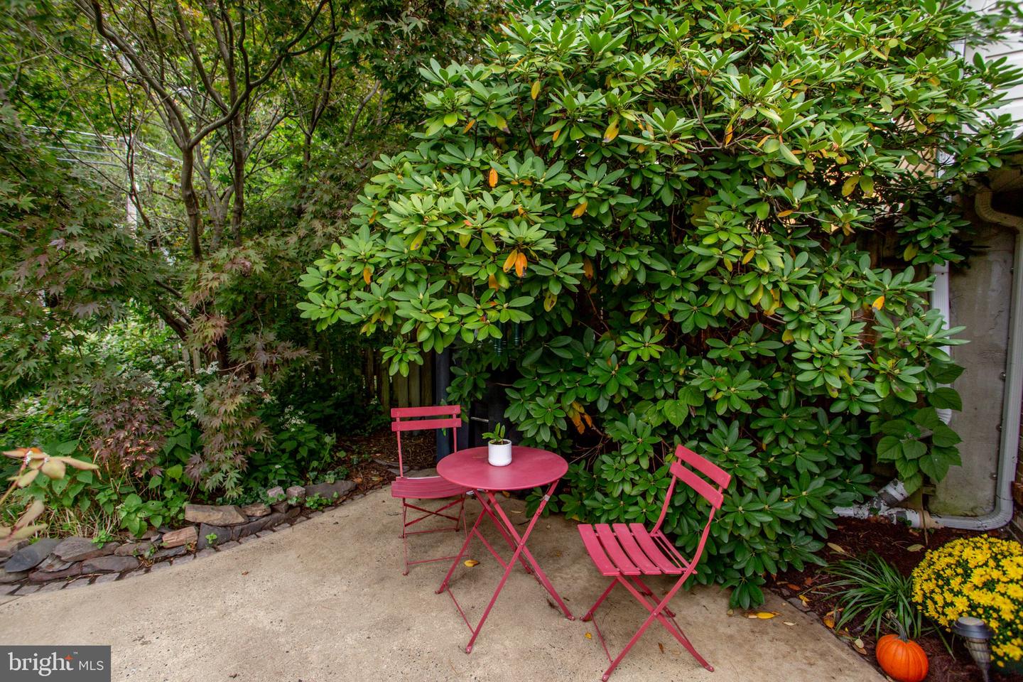 28 Brunswick Ave Property Photo 5