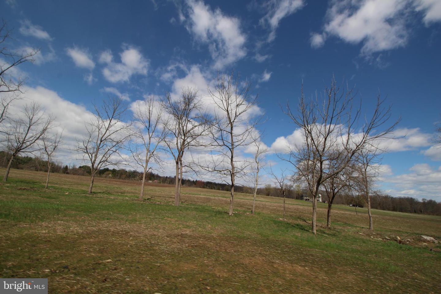 12 Lynnbrook Dr Property Photo 27