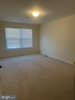15 Fountayne Ct Property Photo 13