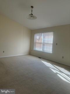 15 Fountayne Ct Property Photo 32