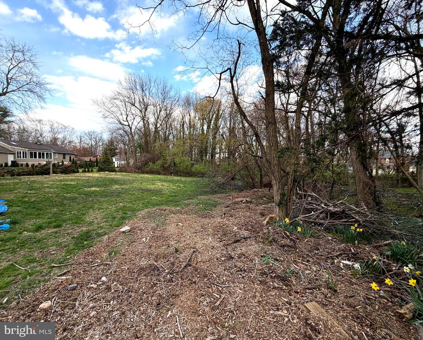 Block 2008 - Lot 12.02 Coolidge Ave Property Photo 2