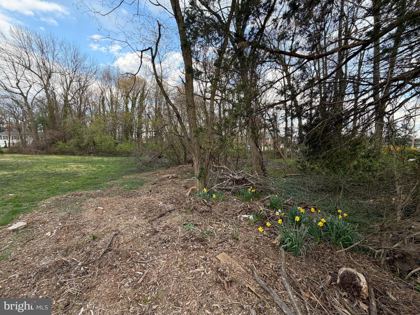Block 2008 - Lot 12.02 Coolidge Ave Property Photo 3
