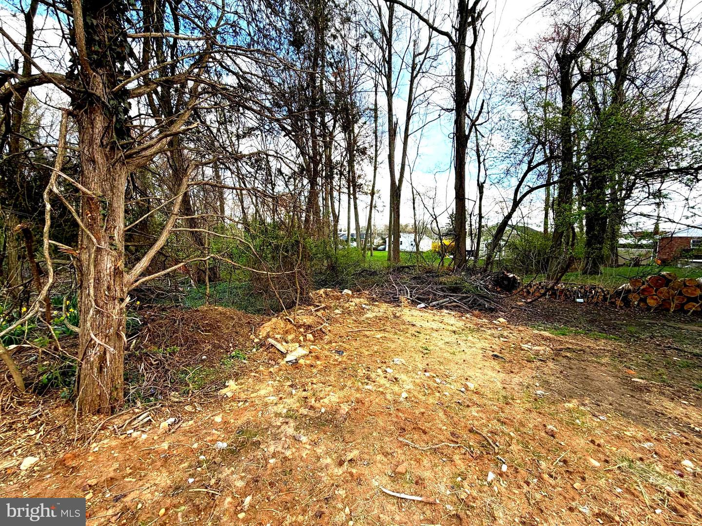 Block 2008 - Lot 12.02 Coolidge Ave Property Photo 5
