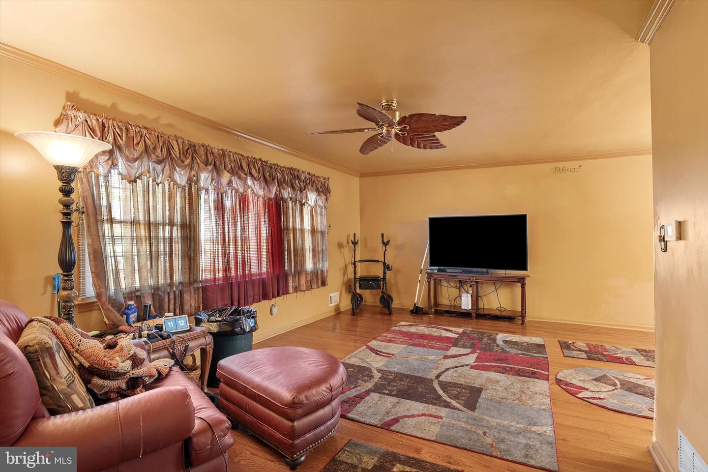 12 Sedgwick Rd Property Photo 4