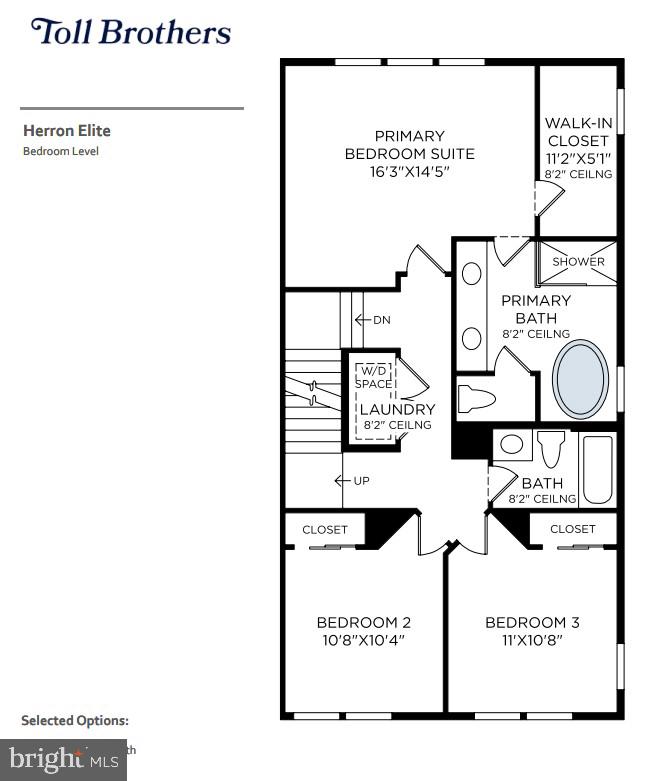 1 Pecan Ct #homesite 41 Property Photo 5