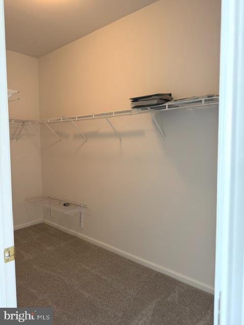 104 Rachel Ln Property Photo 19