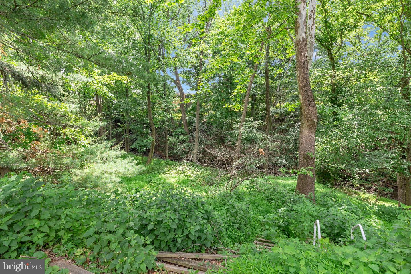 23 Willis Dr Property Photo 45