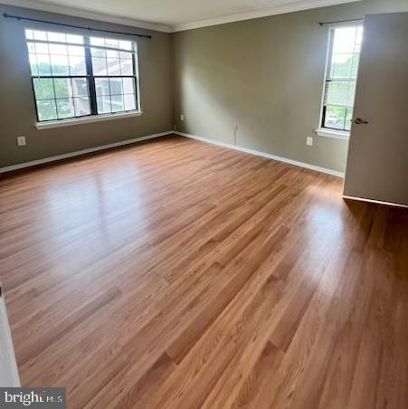 48 Rickard Ct Property Photo 7