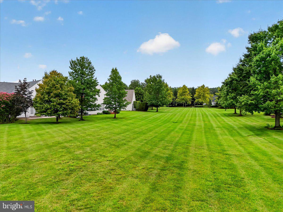 51 Coneflower La Property Photo 36
