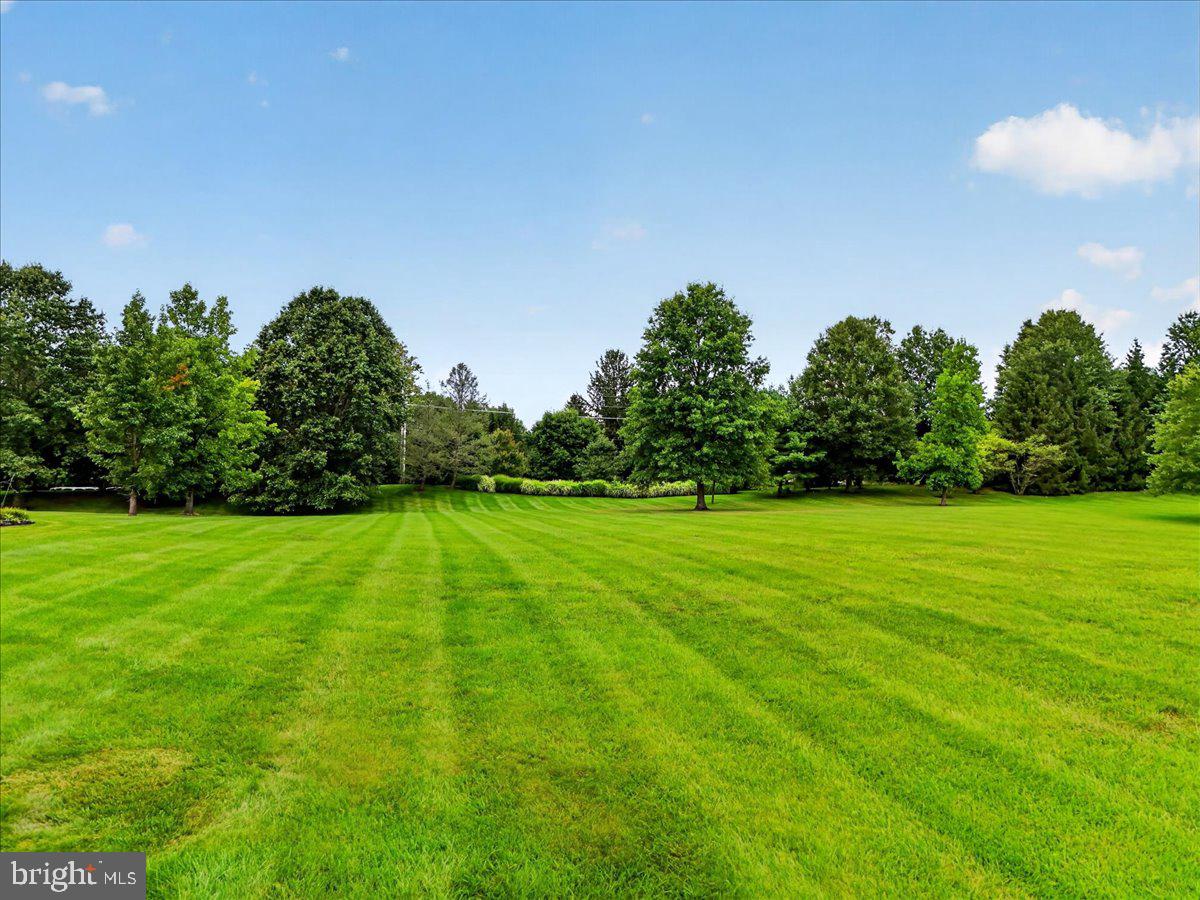 51 Coneflower La Property Photo 37