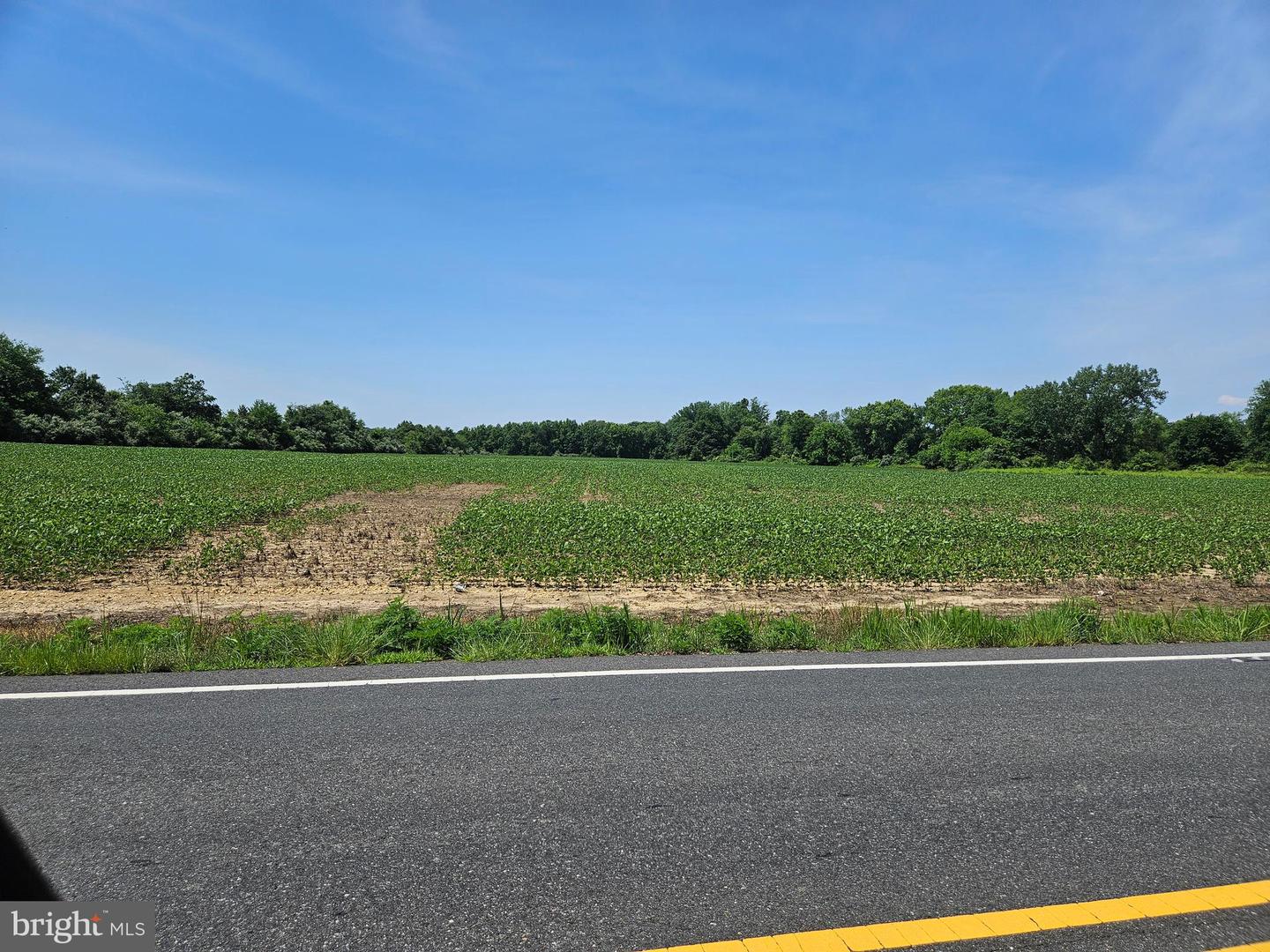 1305--1325 Us Route 130 Property Photo 2