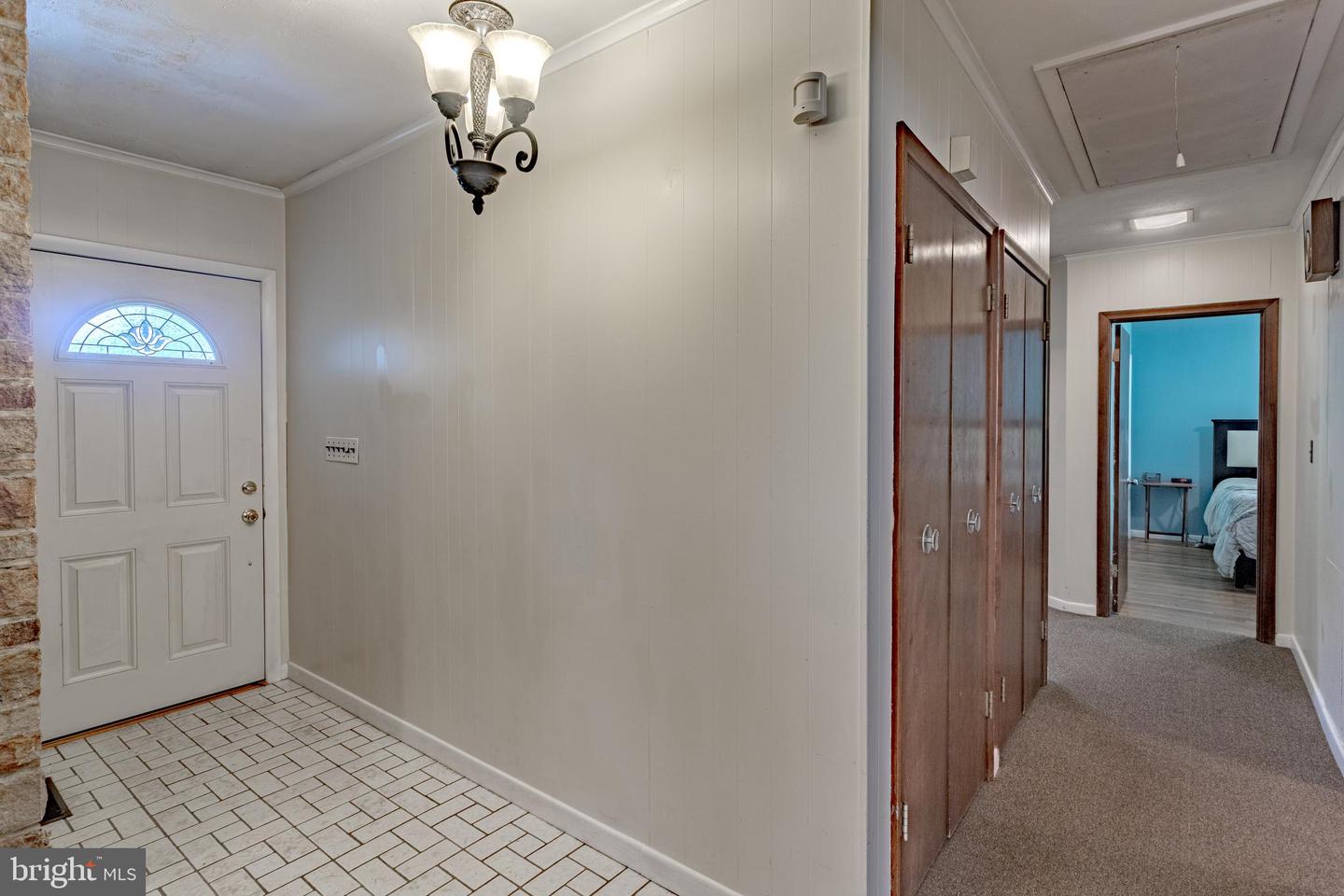 7 White Beech Ct Property Photo 3