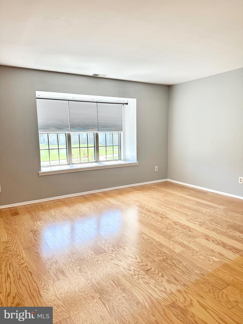 159 Wyndham Property Photo 11