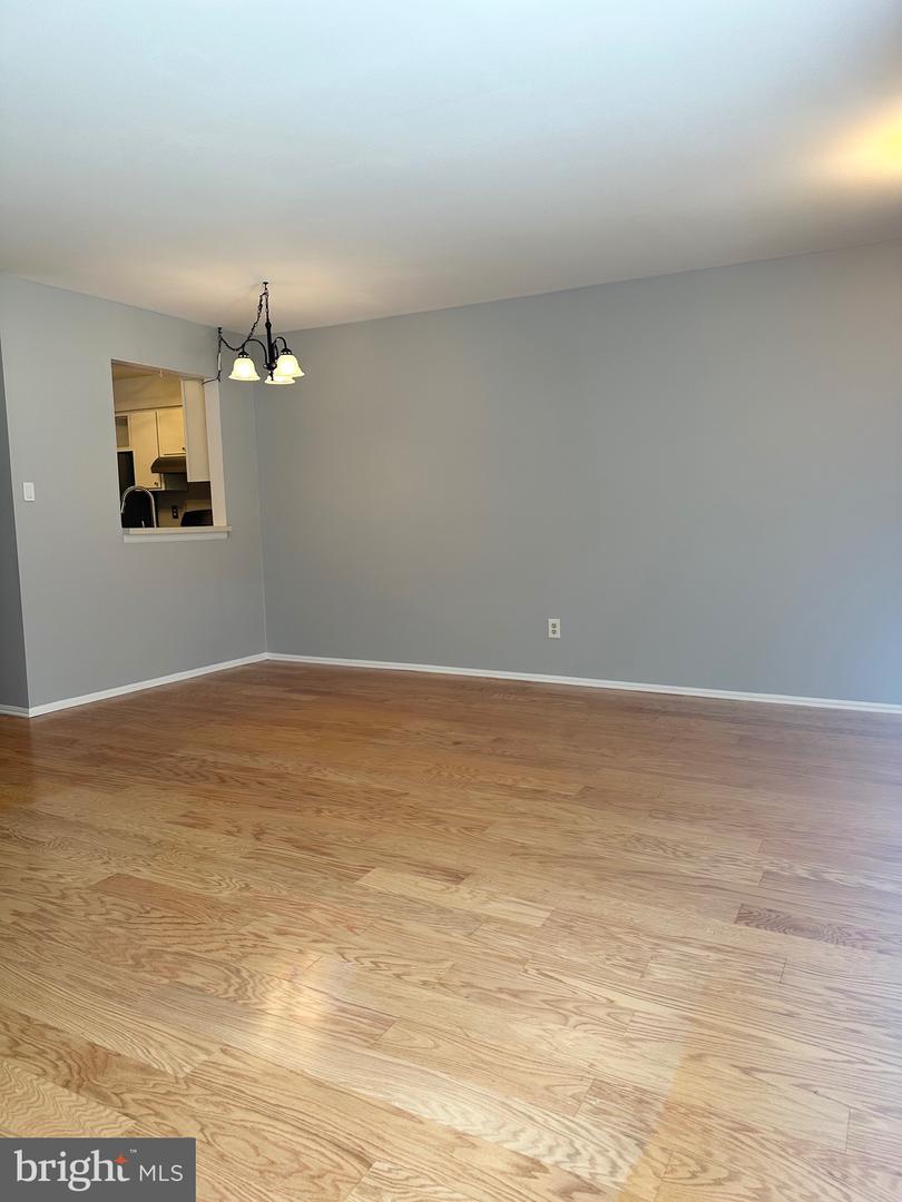 159 Wyndham Property Photo 14