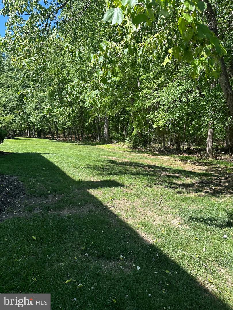 159 Wyndham Property Photo 24