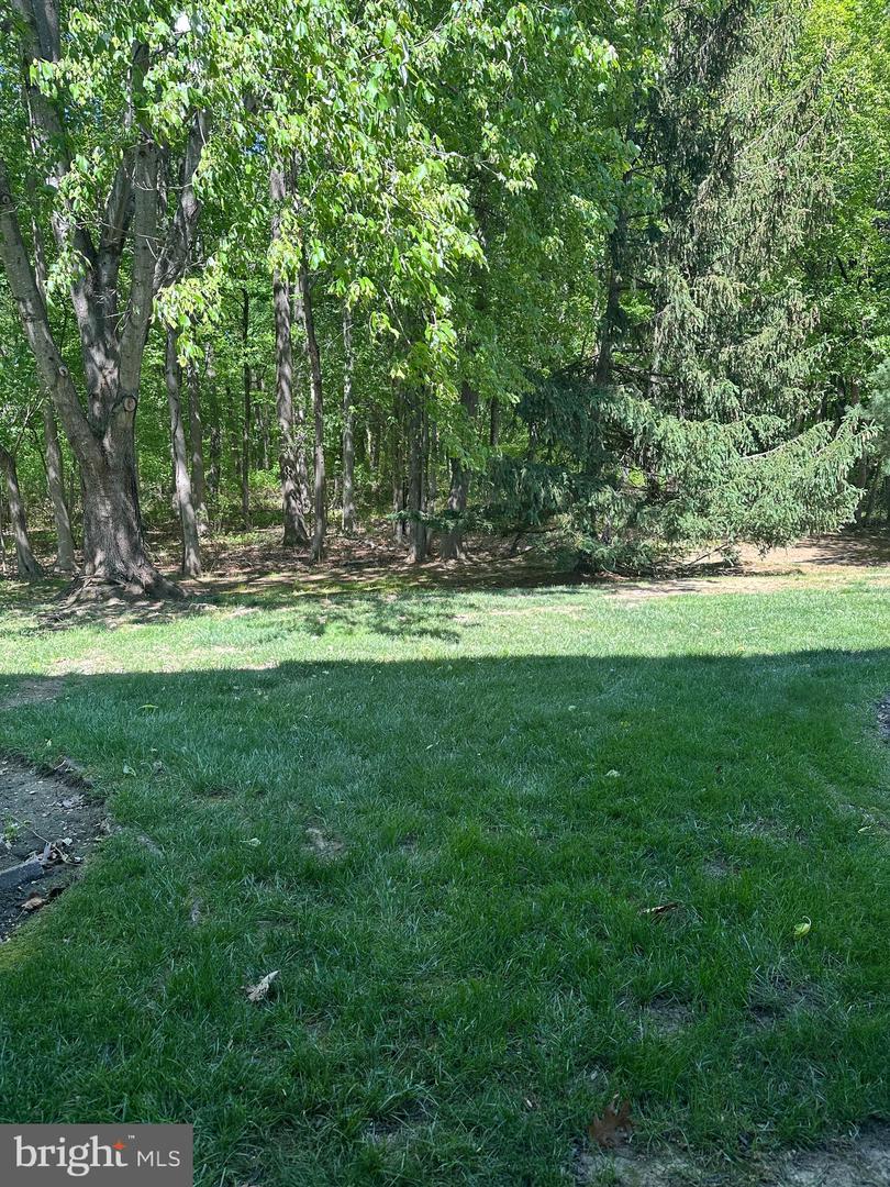 159 Wyndham Property Photo 25