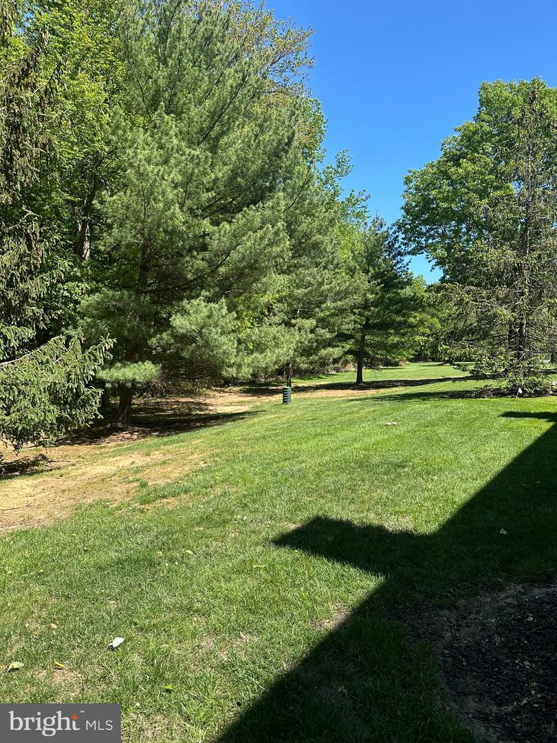 159 Wyndham Property Photo 26