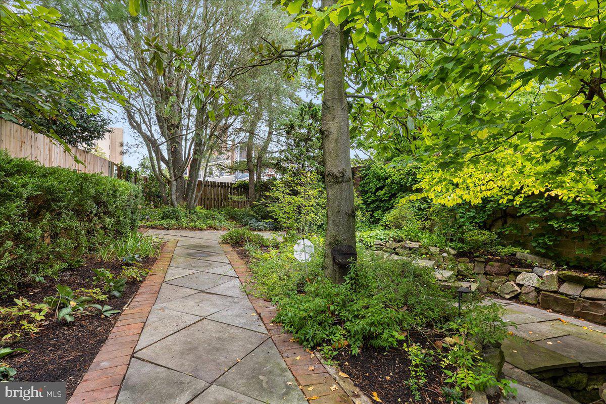 113 Jackson St Property Photo 37