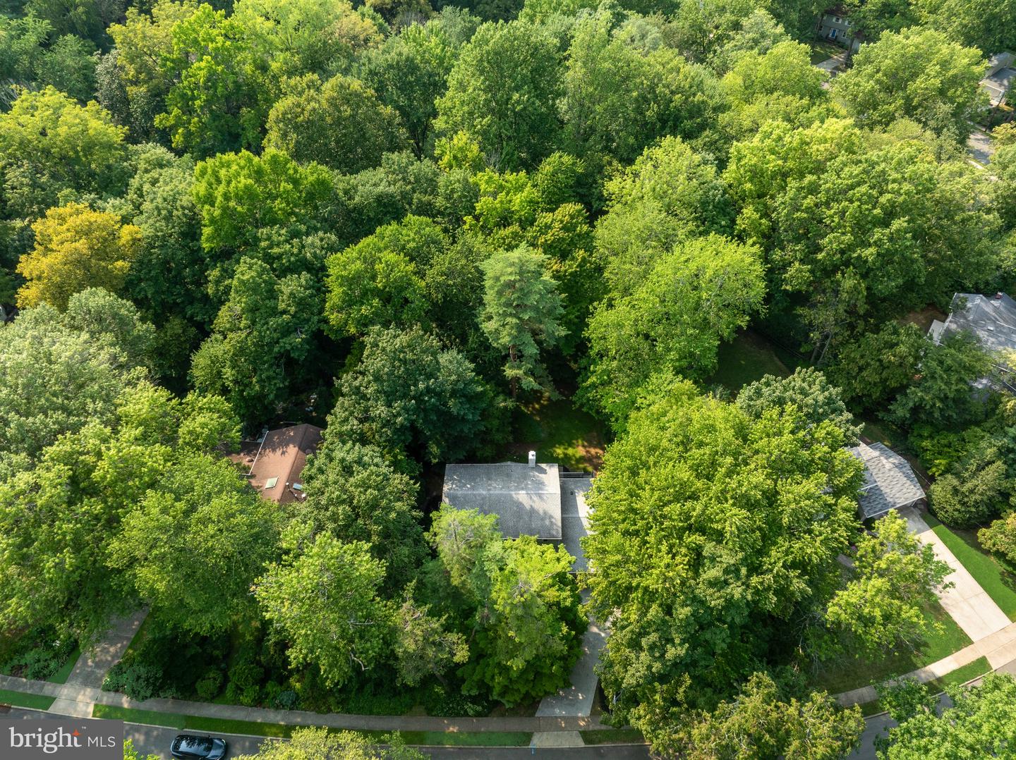 9 Pin Oak Property Photo 35