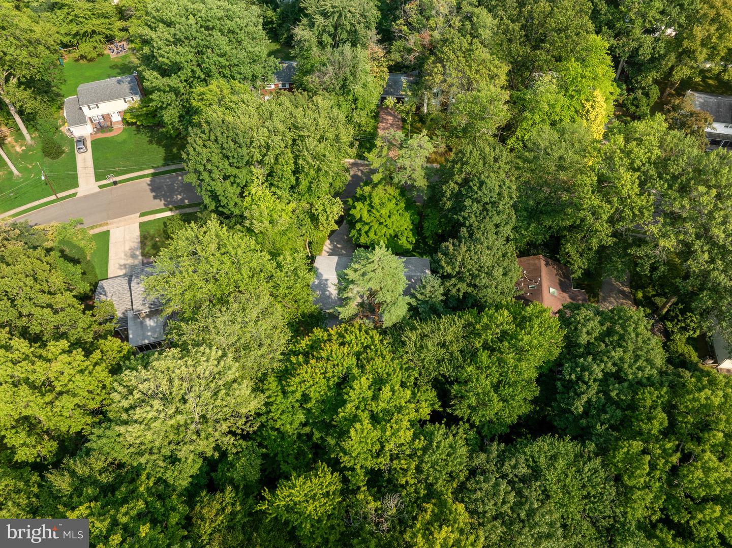 9 Pin Oak Property Photo 37