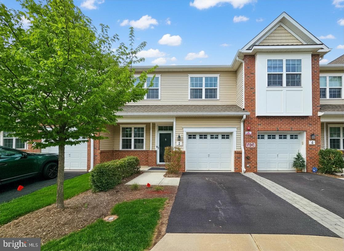 3 CANNON DR