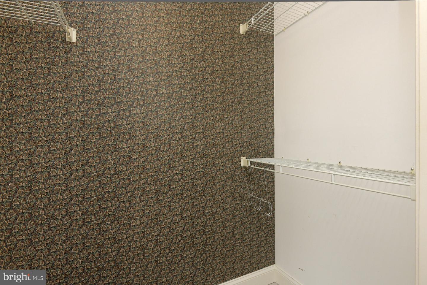 313 American Eagle Property Photo 16